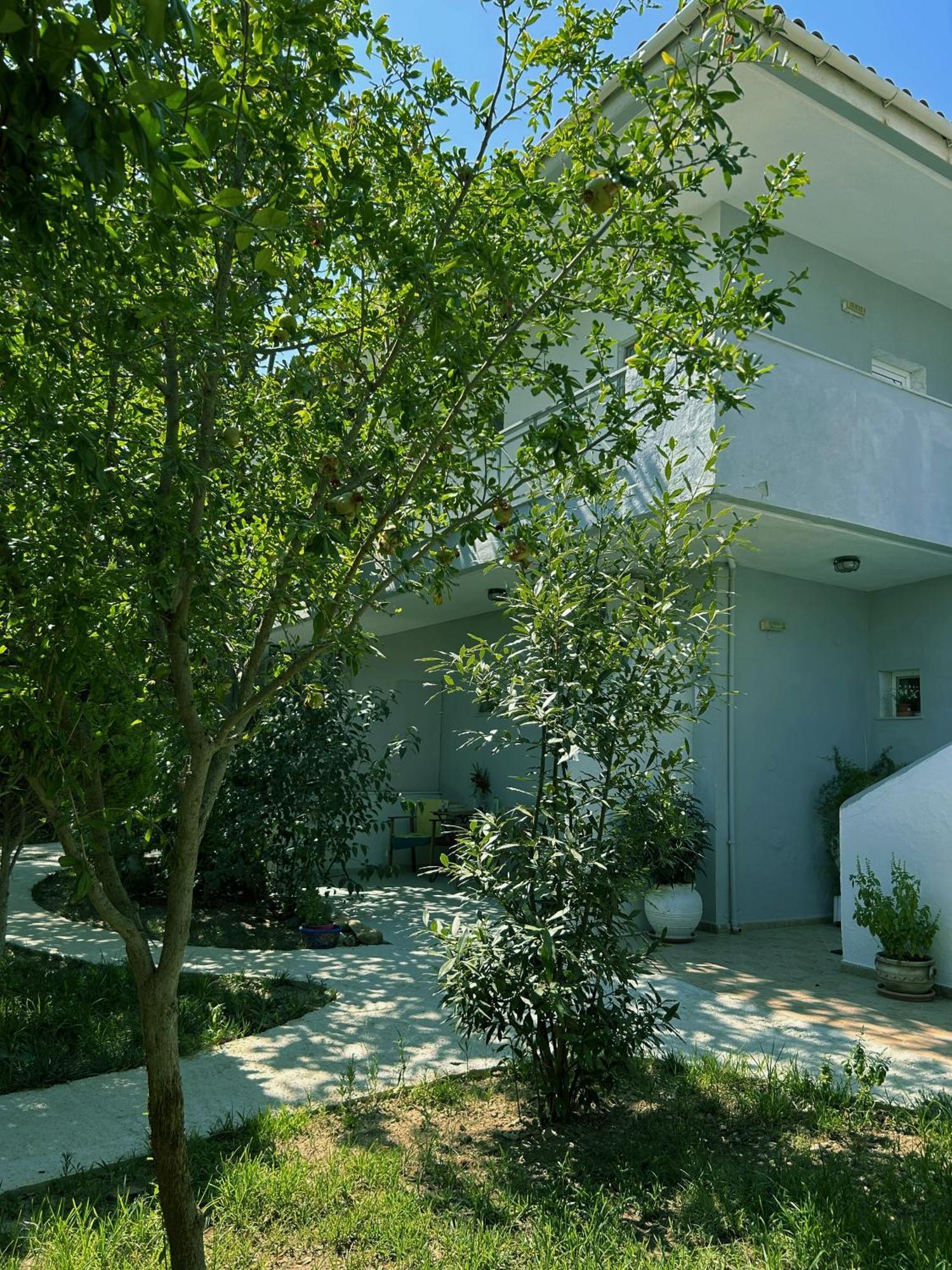 Anthonas House Apartment Nikiti (Sithonia)